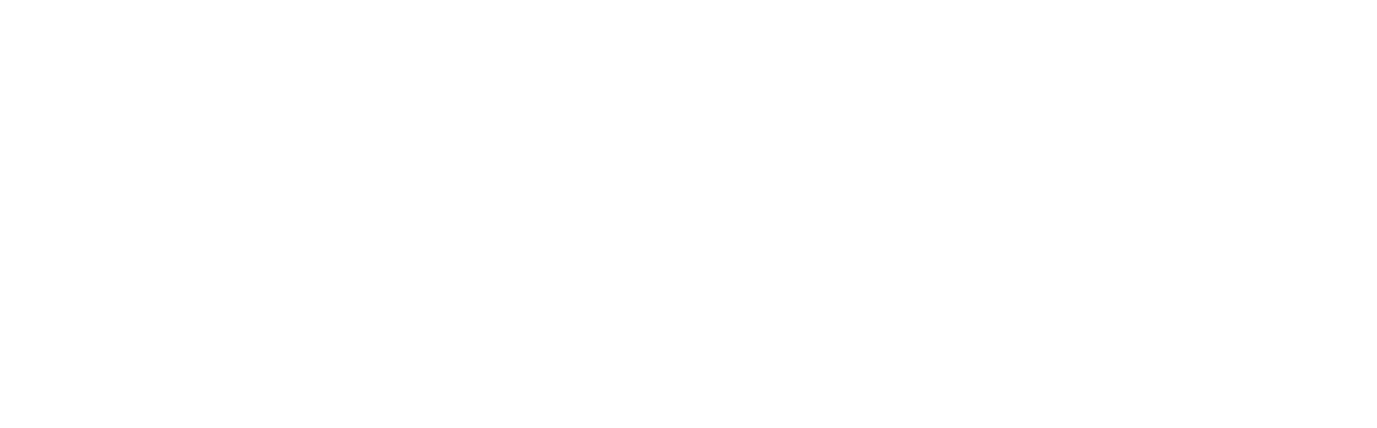 靈貓